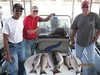 (09/25/2015) - Nice Striped Bass